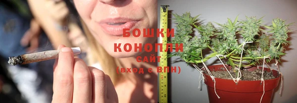 амф Верхний Тагил