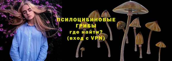 синтетический гашиш Бородино