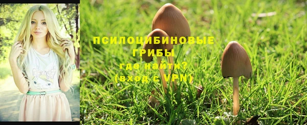 герыч Бронницы